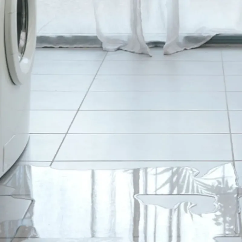 Appliance Leak Cleanup in Sudden Valley, WA