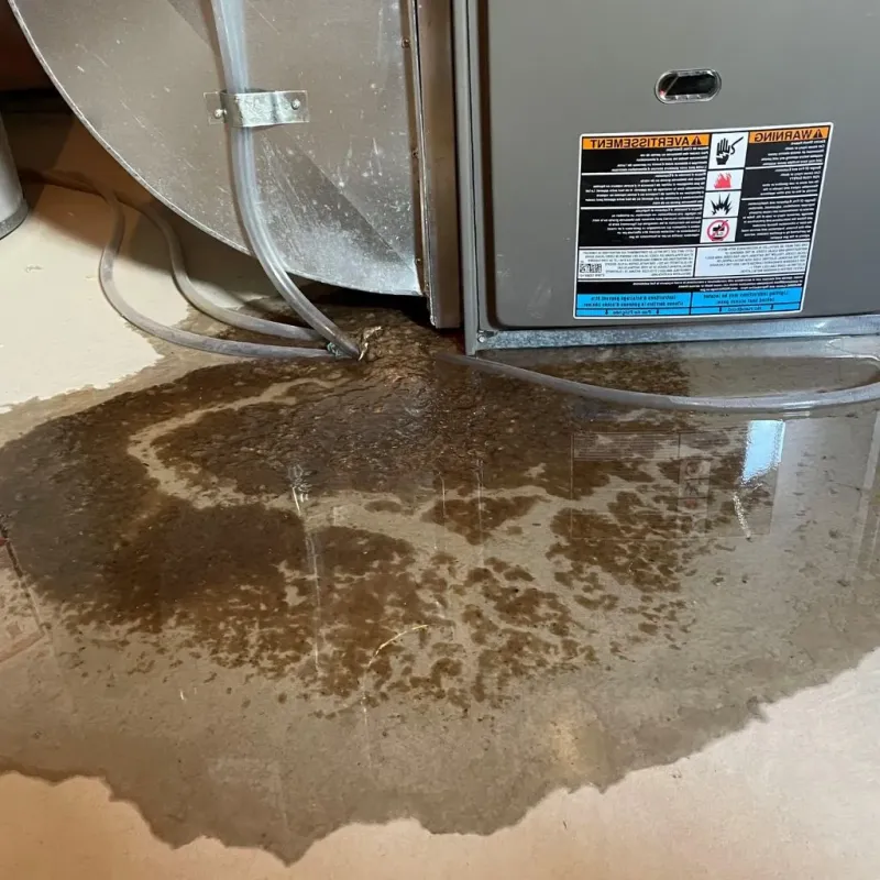 Pipe Burst and Leak Restoration in Sudden Valley, WA
